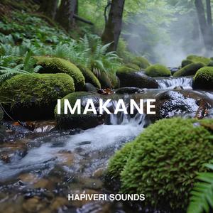 Late Night Rain Sketch