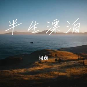 半生漂泊
