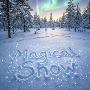 サイレント・メモリーズ