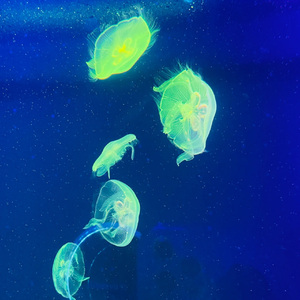 上上签(Prod.Aim high)