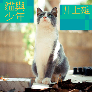 猫与少年