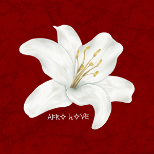 Afro Love