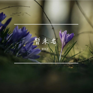 暂未