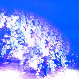 blow in the wind (feat. reefuh)