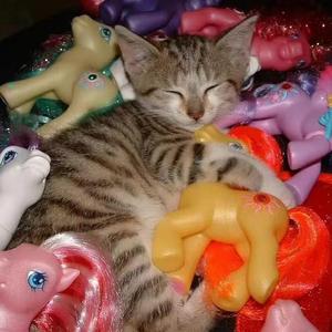 luv in the dust（prodby.sleey/RoyalBoyBrazy)