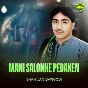 Mani Salonke Pedaken