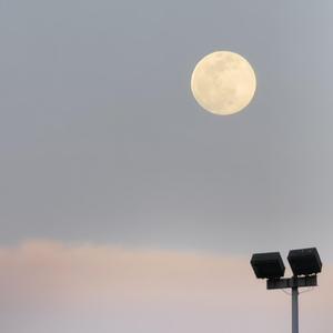 麻烦你啦就(prod by CuD)