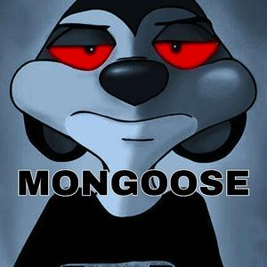 Mongoose