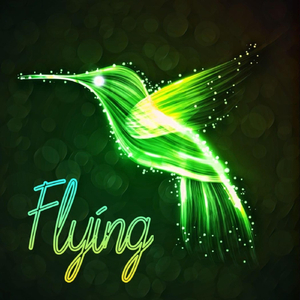 Flying
