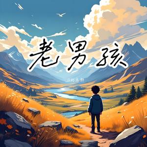 老男孩（烟嗓版）