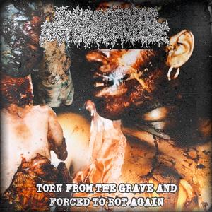 Torn From The Grave And Forced To Rot Again (Saprogenic Foetusogenesis)