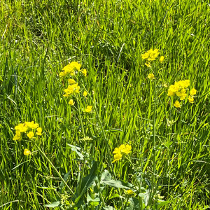千葉であそぼう～上総編～