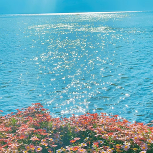 井底蛙-暗恋心事（井底蛙 remix）