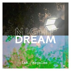 Night Dream