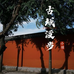 古城漫步·手碟曲（live）