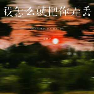 我怎么就把你弄丢