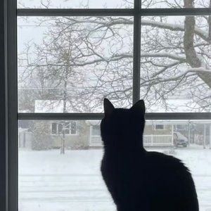 主动的人不会走散