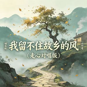 我留不住故乡的风（走心对唱版）
