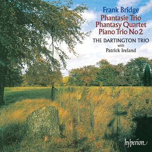 Piano Trio No. 2, H. 178: II. Molto allegro