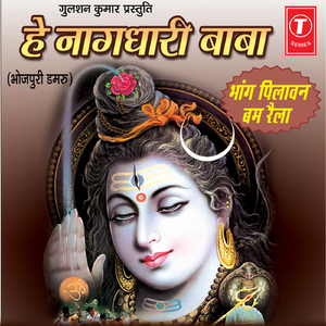 Shakti Pith Manokamna Shivling