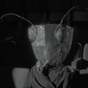 U svađi sa celim svetom