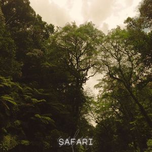 Safari
