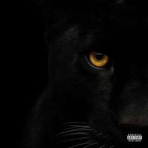 Felines