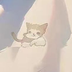 夜空中最亮的星