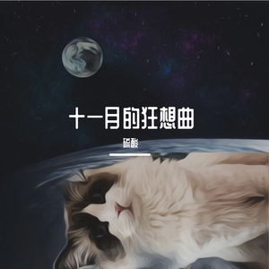 十一月的狂想曲