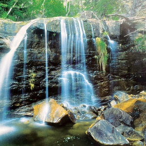 I Love You More Than Words Can Describe