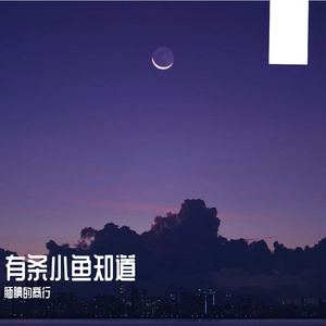 直到你降临（腼腆的商行 remix）