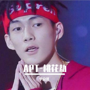 APT+桃花劫（疑似贝贝新歌流出）
