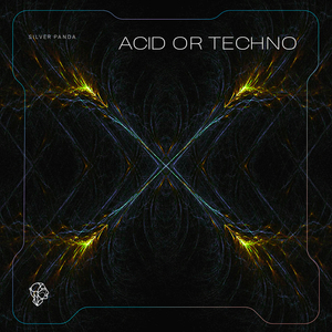 Acid or Techno (Extended Mix)