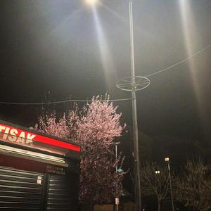 revista (feat. TenxTen)