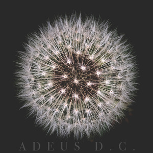 Adeus D. C. (Demo)
