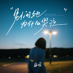 别问她为什么哭泣 (DJ九零版)