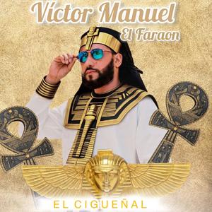 El Cigueñal