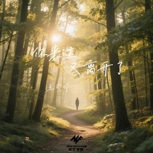 你来过又离开了