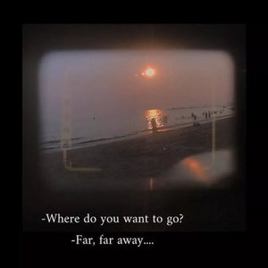 The Sea In The Night