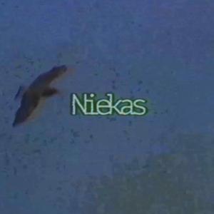 Niekas