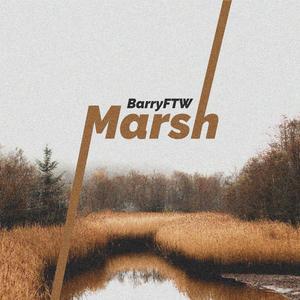 Marsh