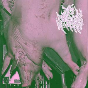 Oink Rape