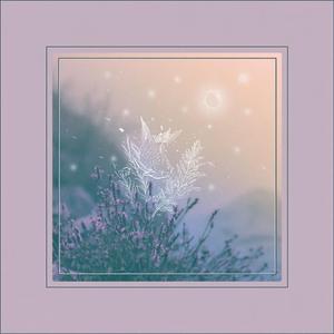 ただいま / I'm Home