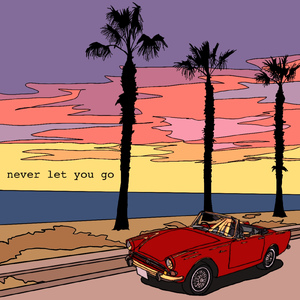 Never let you go (feat. RYOMA, SKYKIDD & miyu)