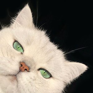 切断与你的消息