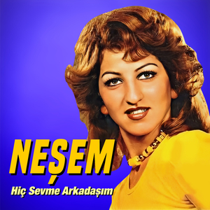 Hiç Sevme Arkadaşım