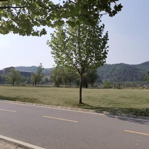 罗大y-明天会更好(4)（小昊要干饭 remix）