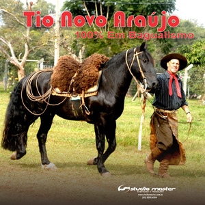 Touro da Peça Estragada