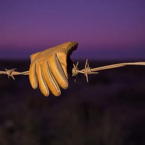 The Sparkling Bay (Corpus Christi)