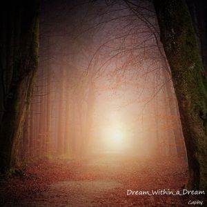 Dream Within a Dream